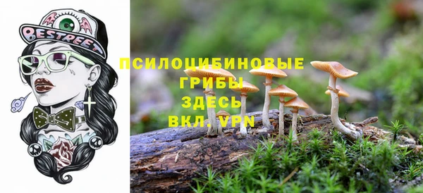 круглые Алексин